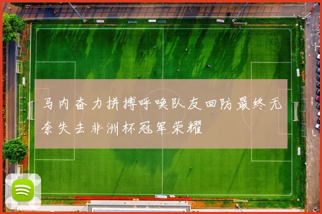 马内奋力拼搏呼唤队友回防最终无奈失去非洲杯冠军荣耀